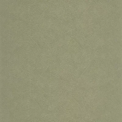 Kleur behang: Eucalyptusgroen