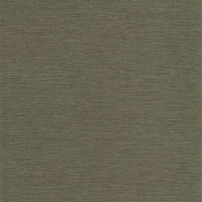 Kleur behang: Taiga-groen