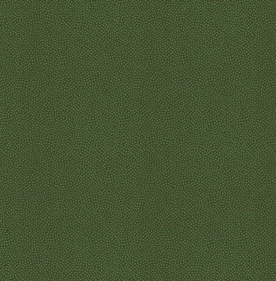 Dutch Amazon River - Salamander groen AR7007