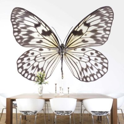Idea Leuconoe (vlinder)