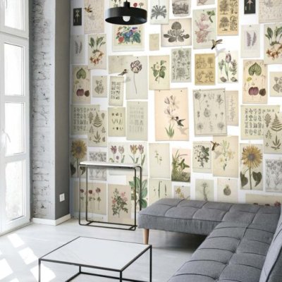 Collectie botanische prenten