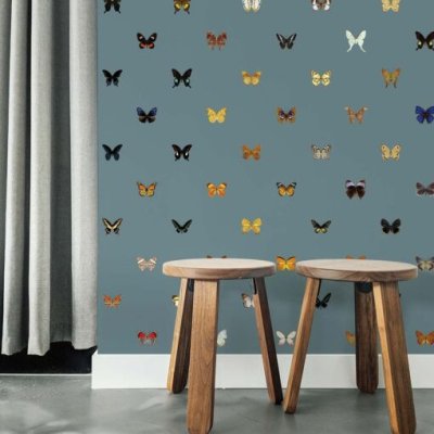 Vlinders op blauw grijs