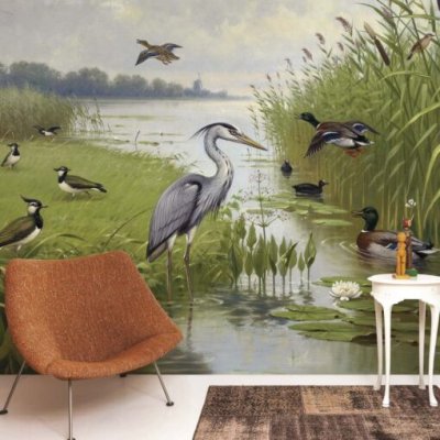 Water- en weidevogels